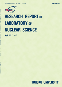 核理研報告 2005（No. 38）